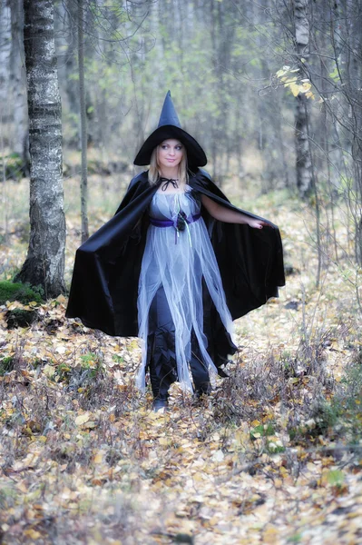 巫婆在木头 — 图库照片