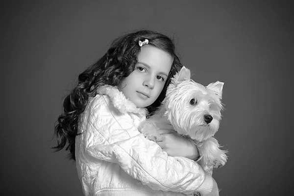 Belle fille avec un chien moelleux blanc — Photo
