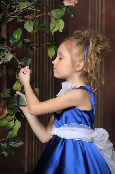 Malá holčička v elegantních modrých šatů — Stock fotografie
