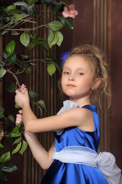 Menina em um vestido azul inteligente — Fotografia de Stock