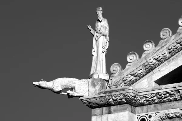 比萨-塔-公共广场的奇迹 — 图库照片