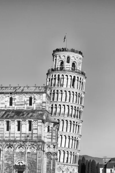 Pisa-toren-openbare plein van de wonderen — Stockfoto