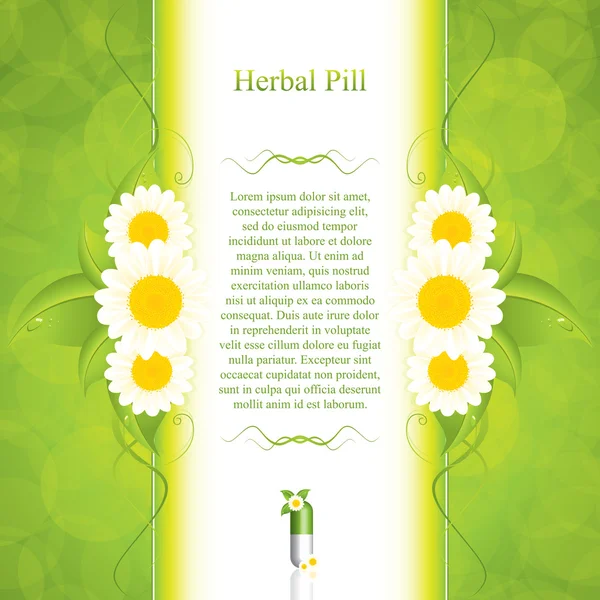 Herbal pill — Stock Vector