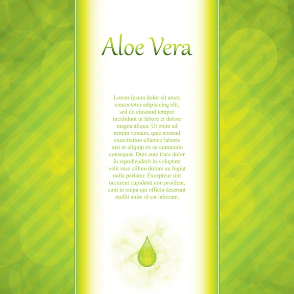 Aloe Vera — Stock Vector