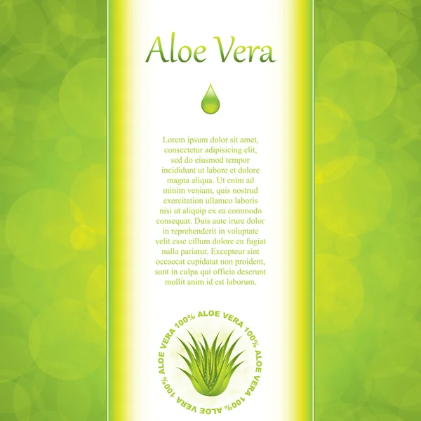 Aloe vera — Stockový vektor
