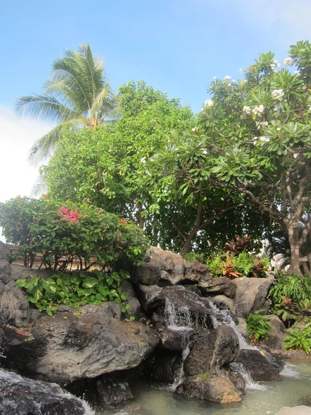 Fonte de Waikiki — Fotografia de Stock