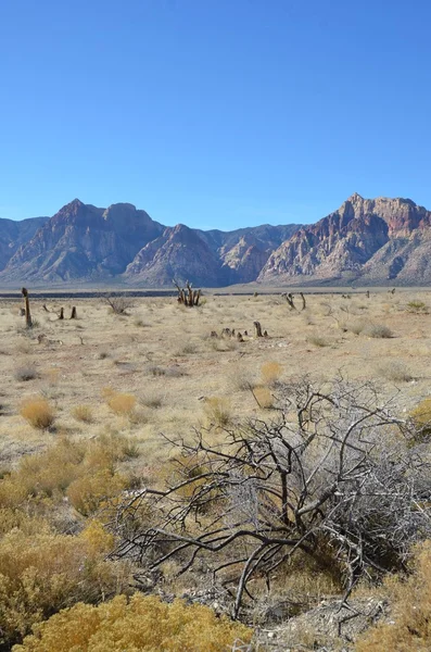 Arizona landscape — Stock Photo, Image