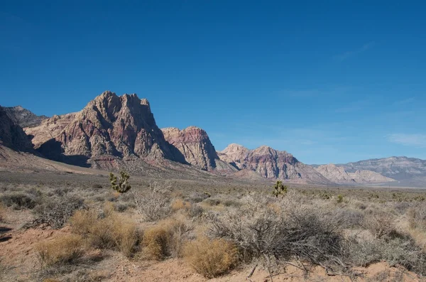 Arizona Landskap — Stockfoto