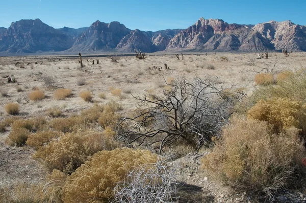 Arid Arizona Landscape — Stock Photo, Image