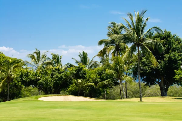 stock image Golf Course