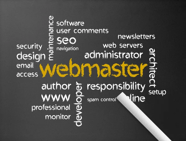 Webmaster. — Fotografia de Stock