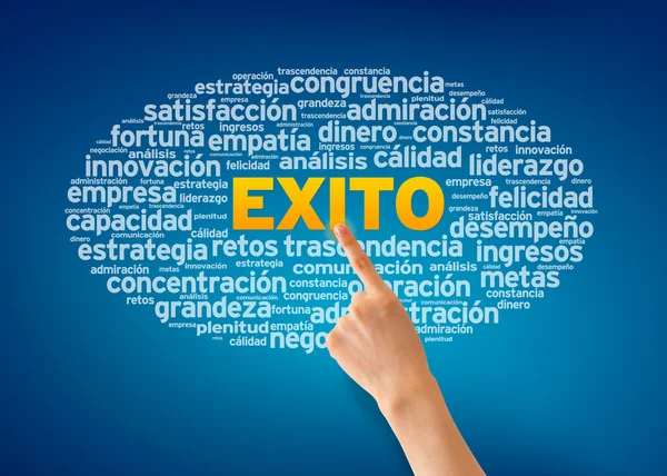 Exito Word Cloud — Stockfoto