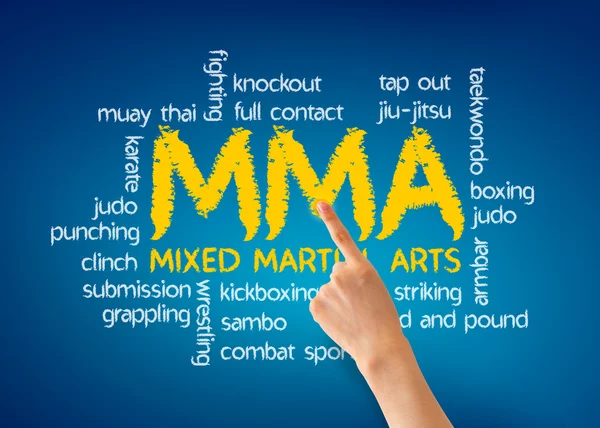 Mixed Martial Arts — Stock Photo, Image