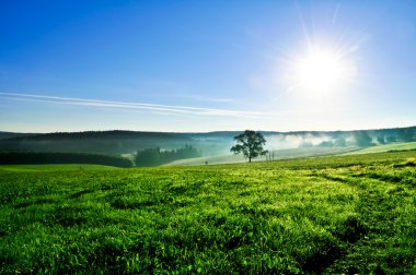 Blue Sky and Fields clipart