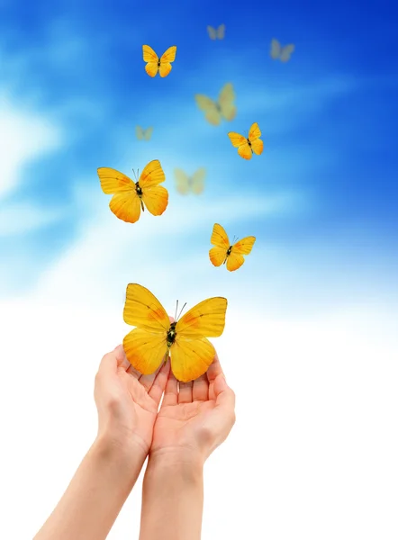 Ręce z motylami — Zdjęcie stockowe