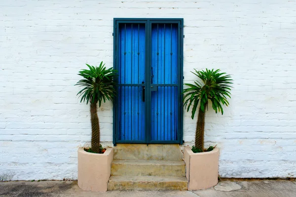 stock image Blue Door