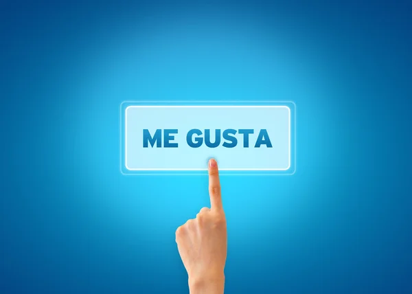 Moi Gusta — Photo