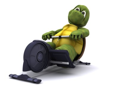 Tortoise training on a rowing machine clipart