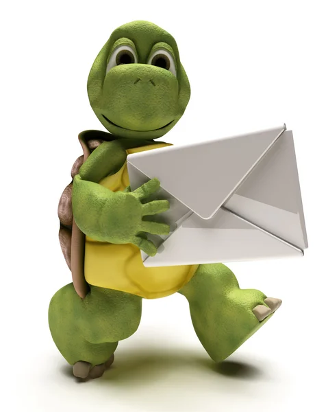 Tortoise with a white envelope — Stock Photo, Image