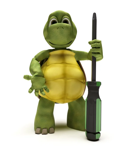 Tortoise with a screwdriver — Stock Photo, Image