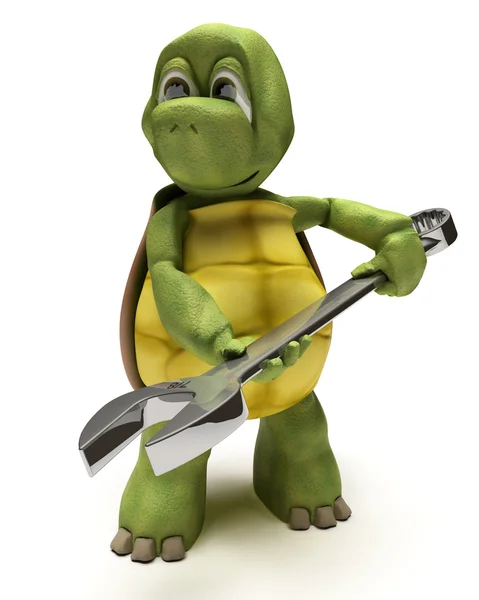 Kaplumbağa ile bir İngiliz anahtarı — Stok fotoğraf