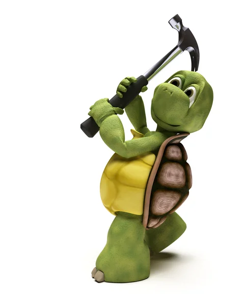 Kaplumbağa tırnağı çekiç ile — Stok fotoğraf