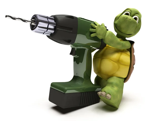 Tortoise with power drill — Stock Photo, Image