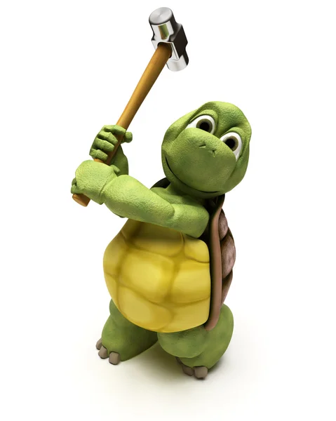 Tortoise with a sledge hammer — Stock Photo, Image