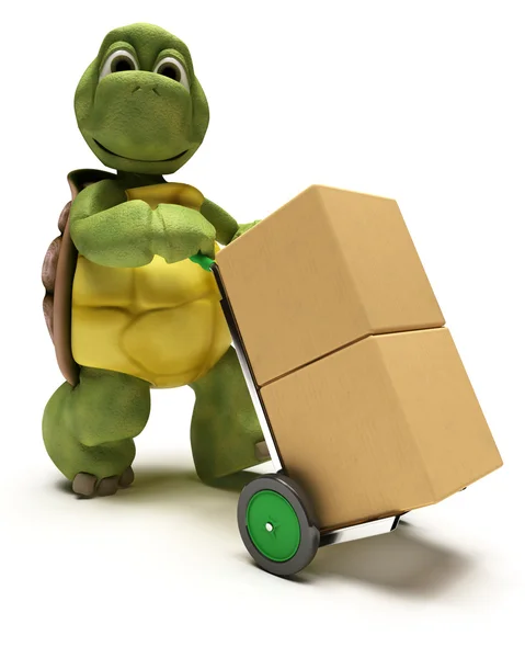 Черепаха с коробками для доставки — стоковое фото