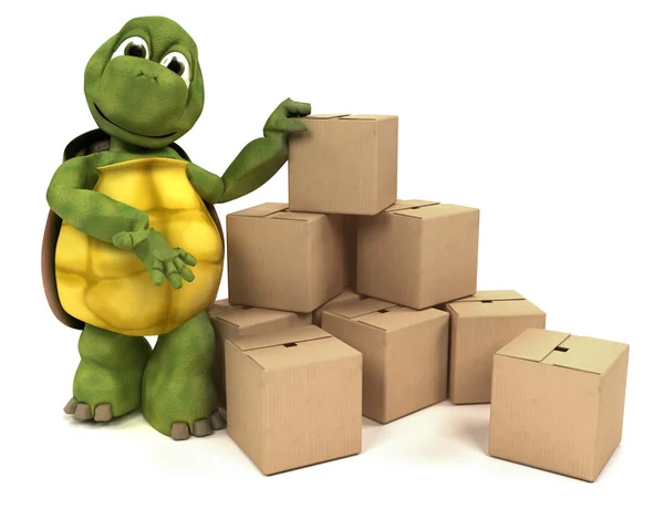 Kaplumbağa ile nakliye kutuları — Stok fotoğraf