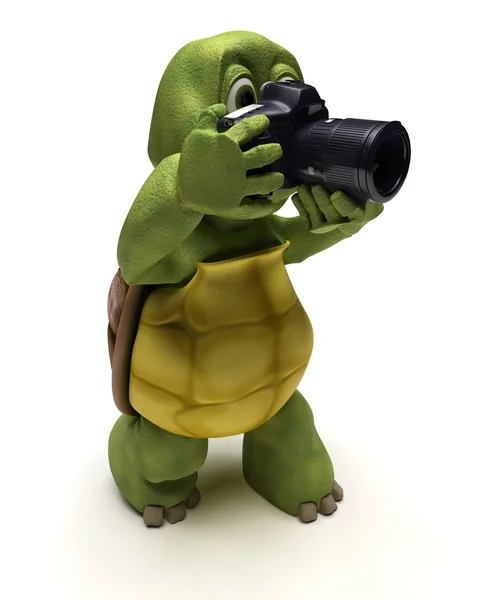 Kaplumbağa ile slr fotoğraf makinesi — Stok fotoğraf