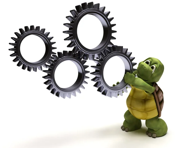 Tortoise with gears — Stock Photo, Image