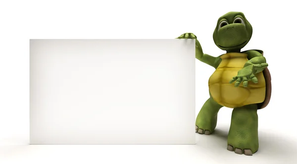 Tortoise with a blank white sign — Stock Photo, Image