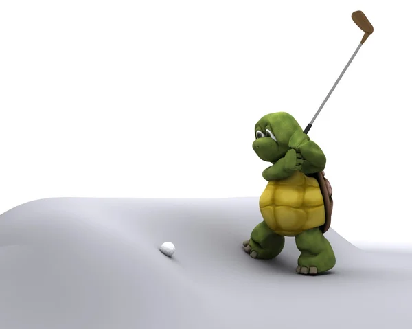 乌龟打高尔夫球 — 图库照片