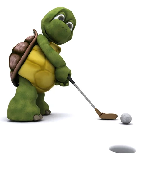 Tartaruga Jogando golfe — Fotografia de Stock