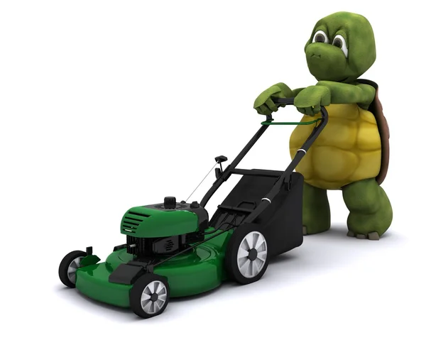 Tortoise with a lawn mower — Stock Photo, Image