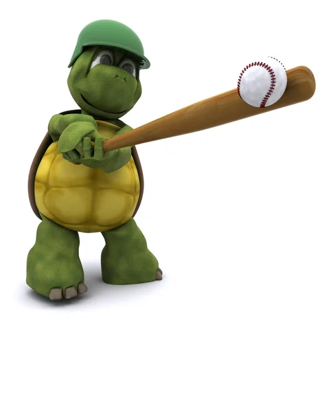 乌龟玩 basball — 图库照片