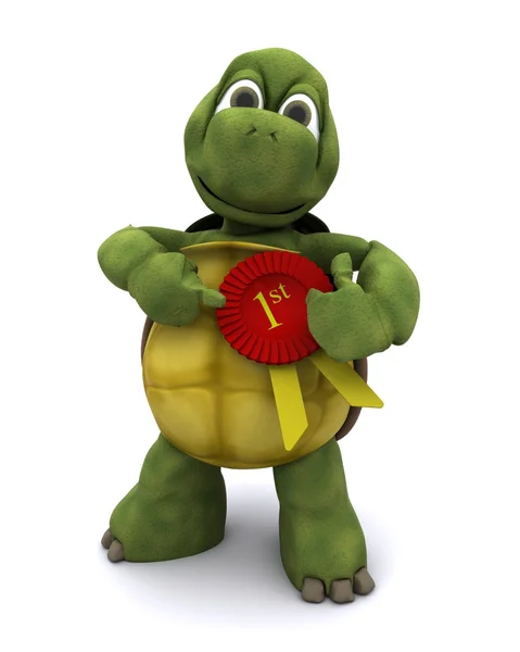 Kaplumbağa bir rozet ile — Stok fotoğraf