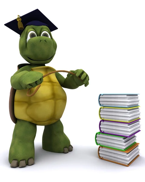 stock image Tortoise teacher with a stack of books