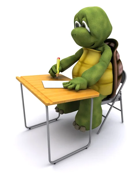 Tortoise sat at school desk — Stock Photo, Image