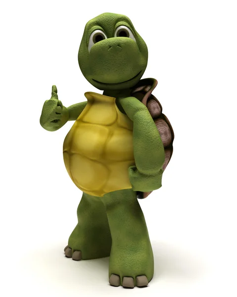 Tortoise with thumbs up — Stock Photo, Image