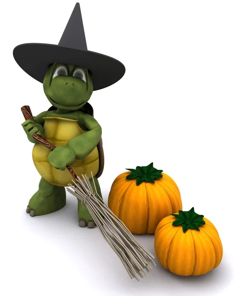 Schildpad verkleed als een heks voor halloween — Stockfoto