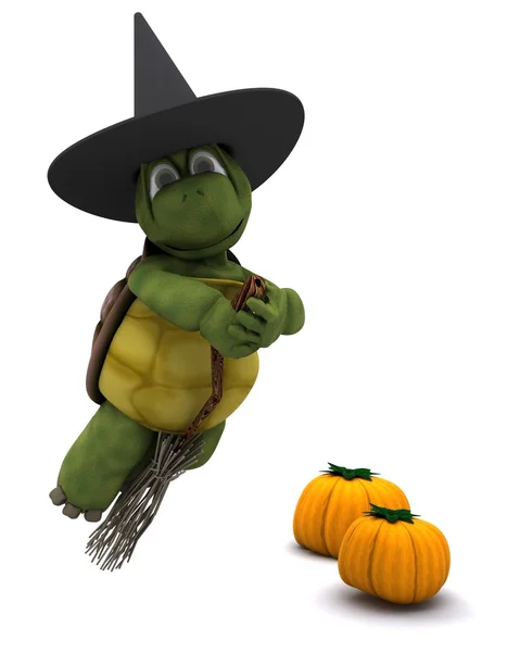 Kaplumbağa bir cadı olarak halloween için giyinmiş. — Stok fotoğraf