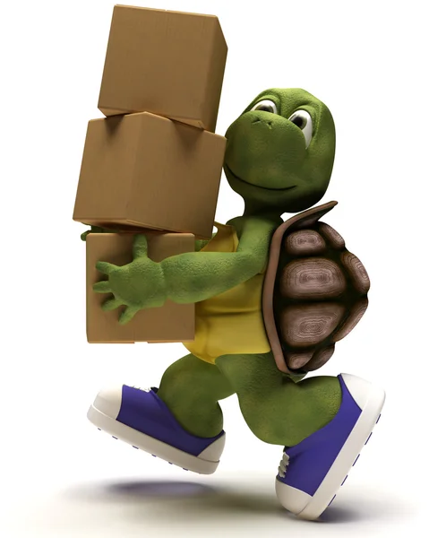 Sköldpadda karikatyr runniing med packning kartonger — Stockfoto
