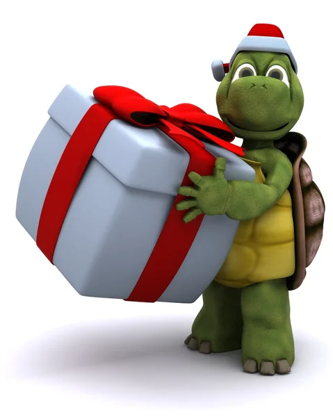 Sköldpadda santa karaktär — Stockfoto