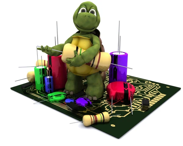 Tortoise with a micro chip — Stock Photo, Image