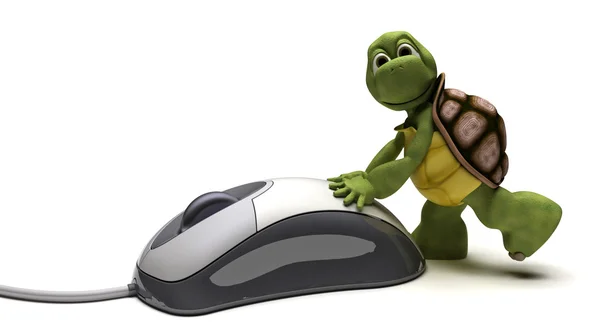 Tartaruga com um rato de computador — Fotografia de Stock