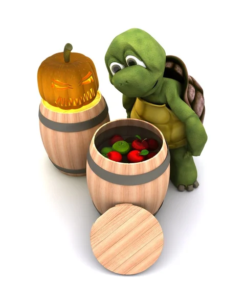 Schildkröte wippt nach Äpfeln — Stockfoto
