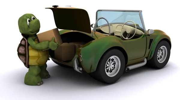 Schildpad laden vakken in een auto — Stockfoto