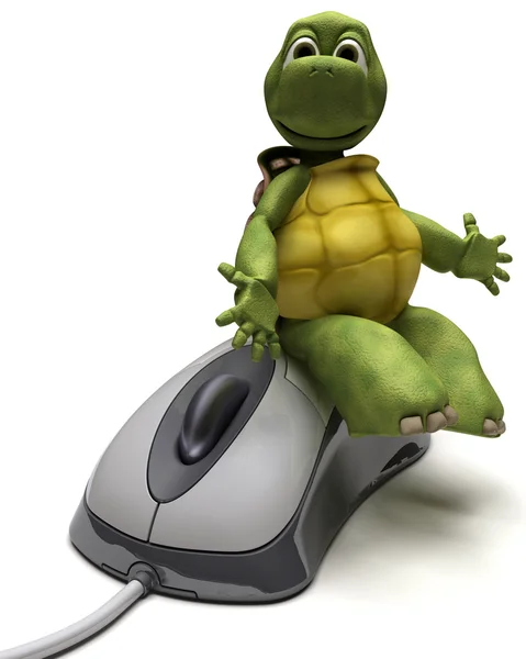 Tortoise with a computer mouse — Stock Photo, Image